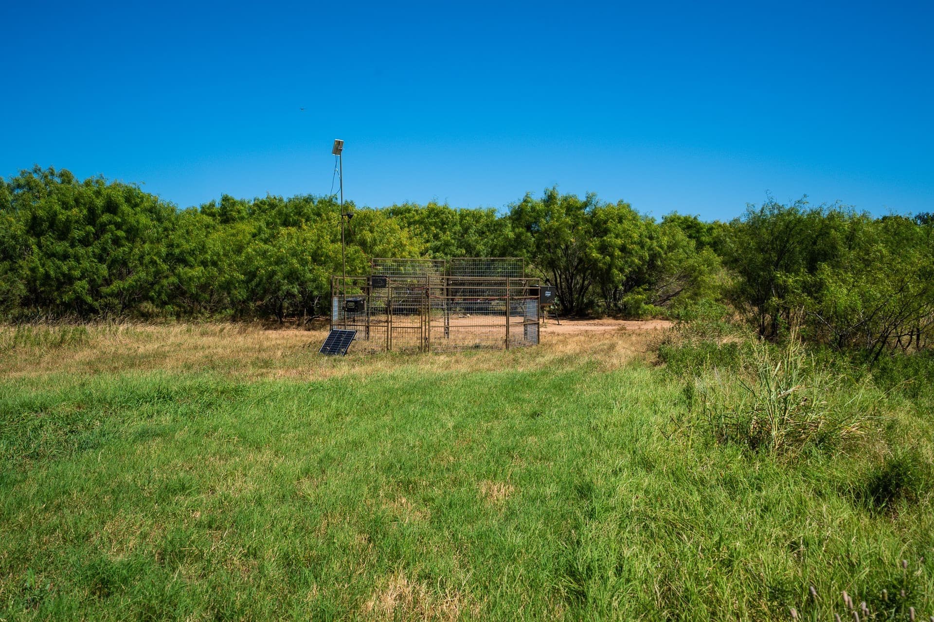 42.13 acres in San Saba County - photo 11