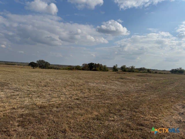 5 acres in Guadalupe County gallery image 4