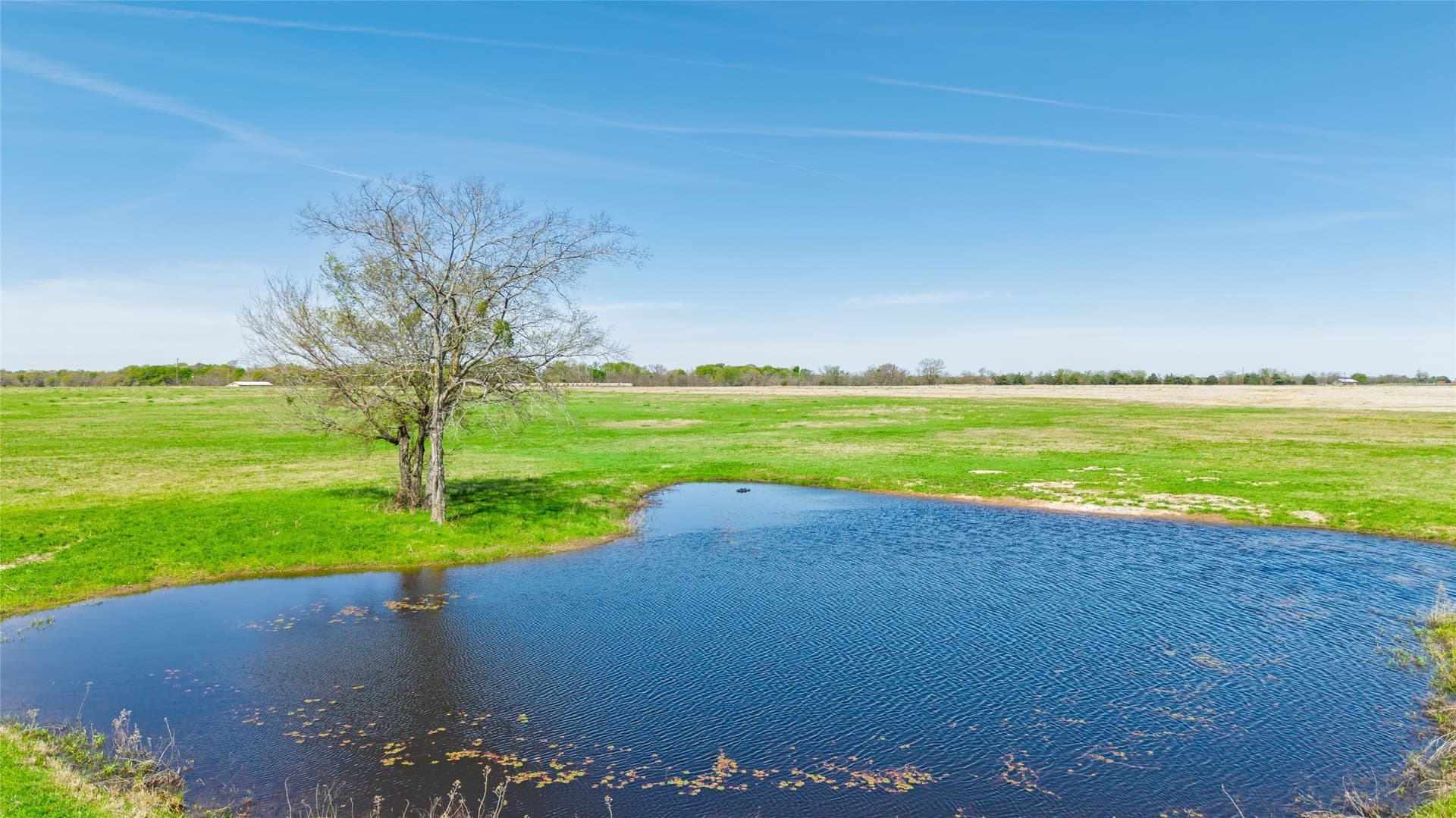 16.43 acres in Hunt County - photo 18