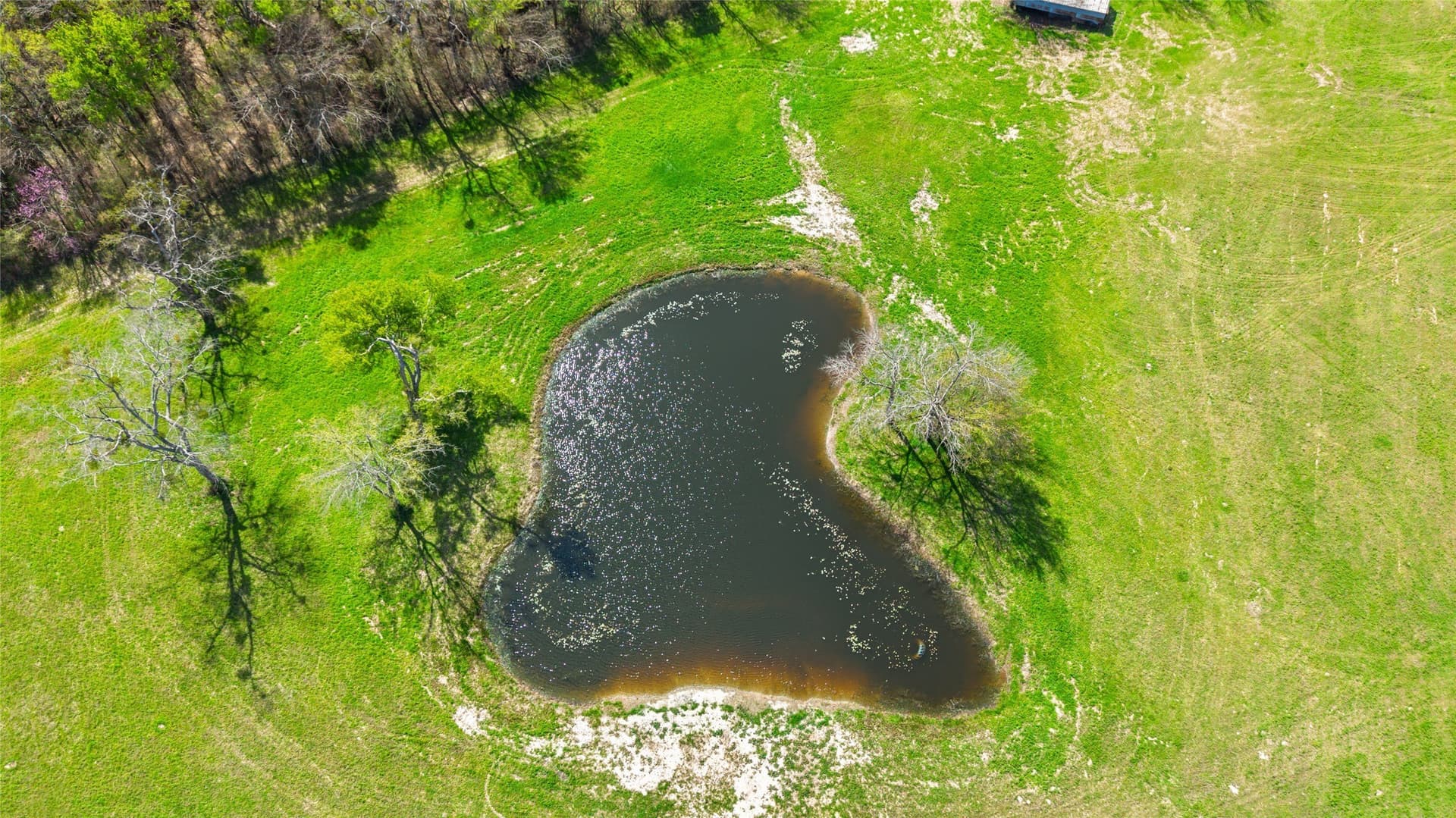 16.43 acres in Hunt County - photo 5