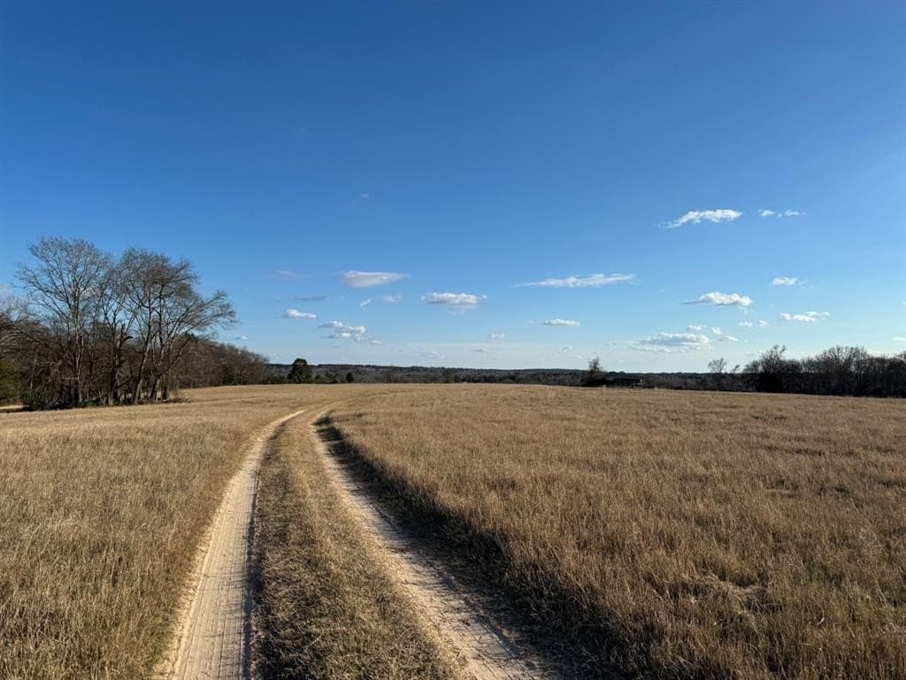 1,640 acres in Anderson County gallery image 3