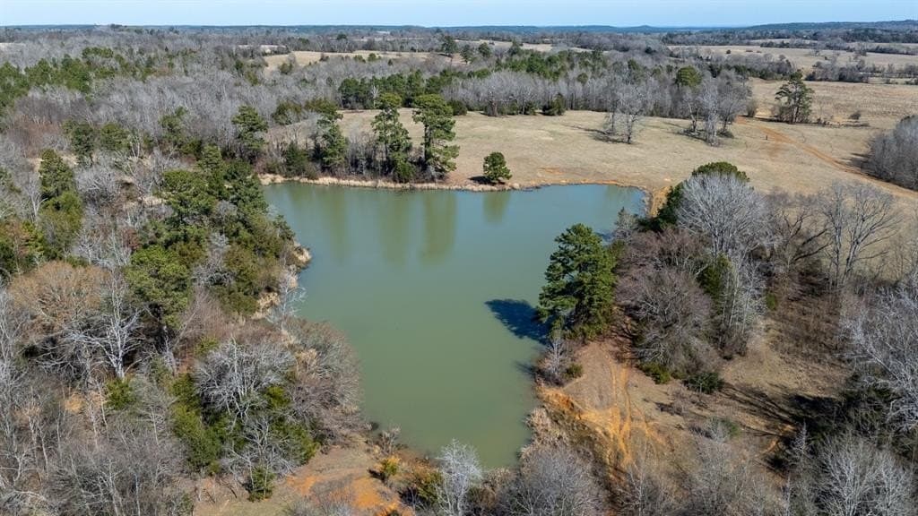 1,640 acres in Anderson County gallery image 4