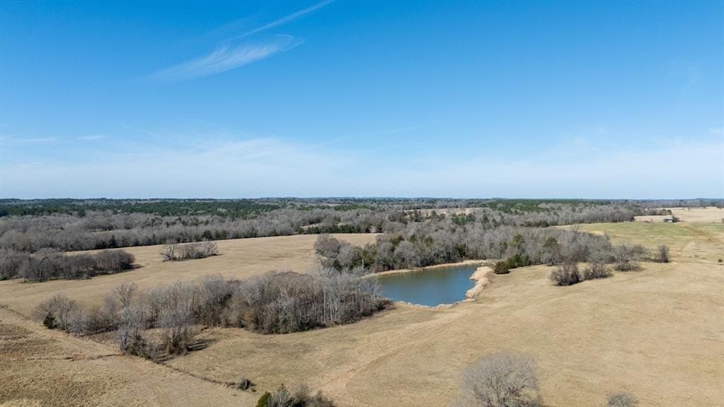 1,640 acres in Anderson County gallery image 2