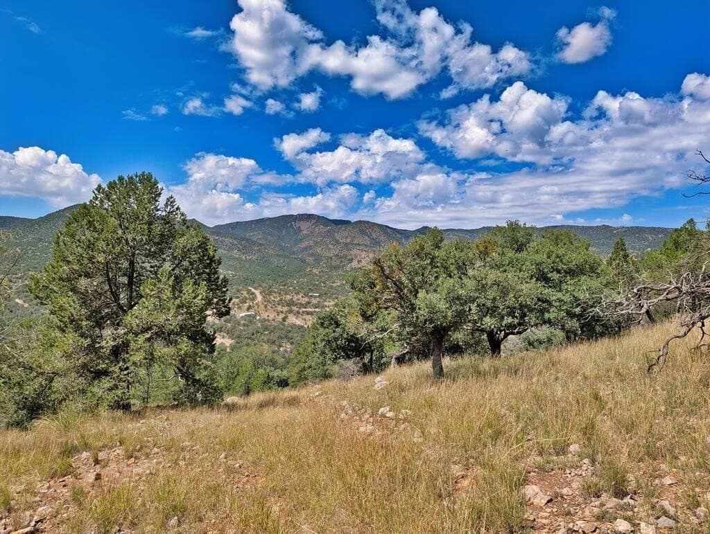 9.93 acres in Jeff Davis County - photo 13