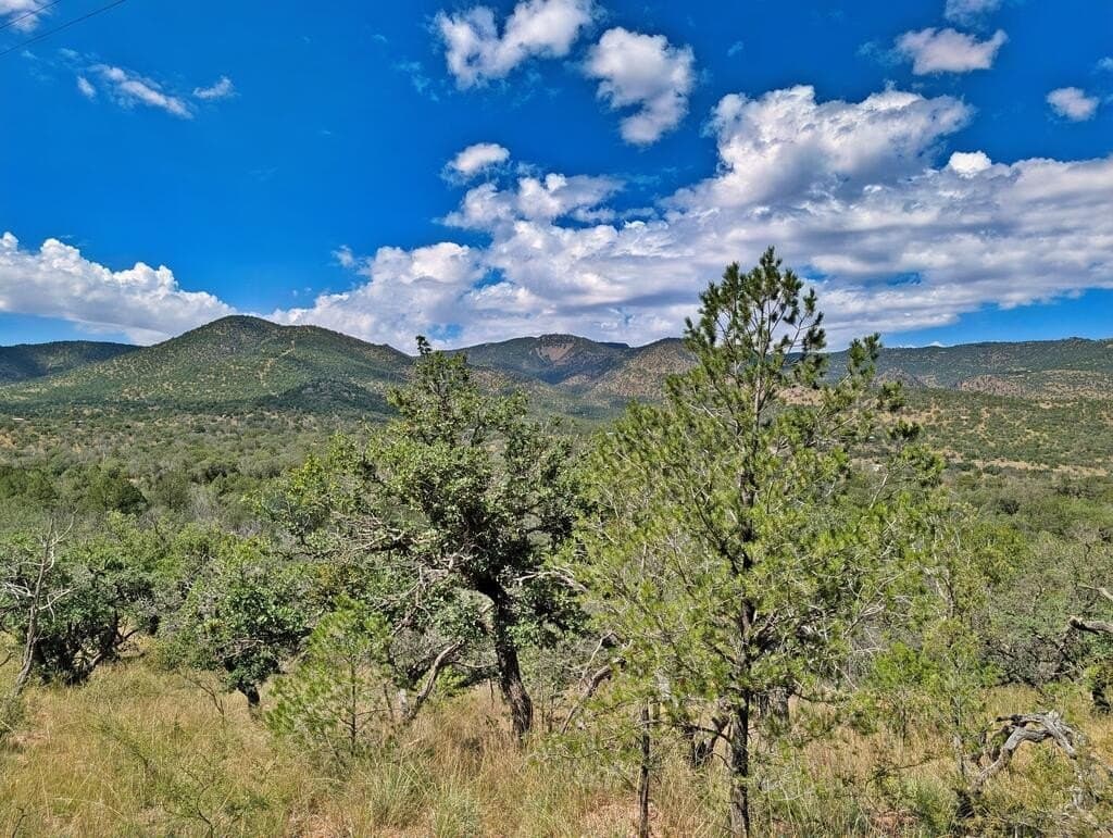 9.93 acres in Jeff Davis County - photo 8