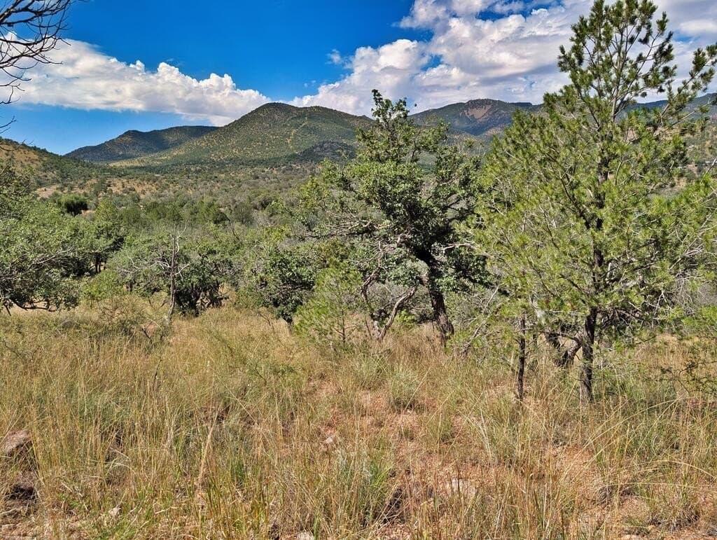 9.93 acres in Jeff Davis County - photo 6