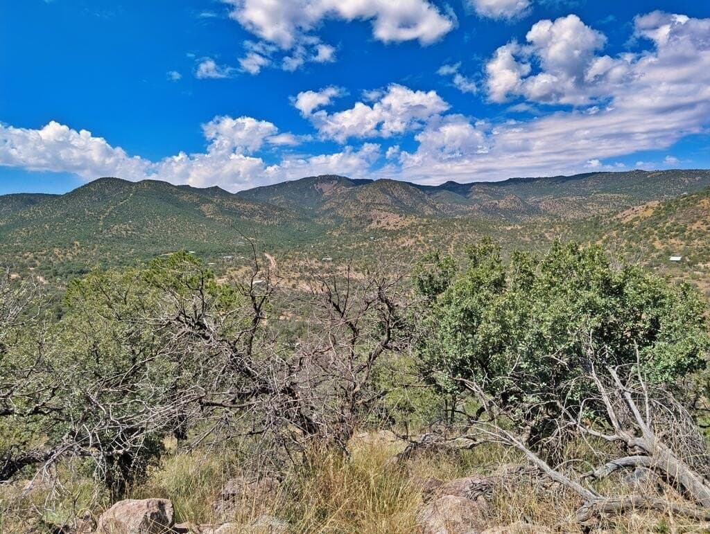 9.93 acres in Jeff Davis County - photo 16