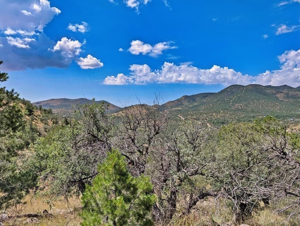 9.93 acres in Jeff Davis County - photo 18