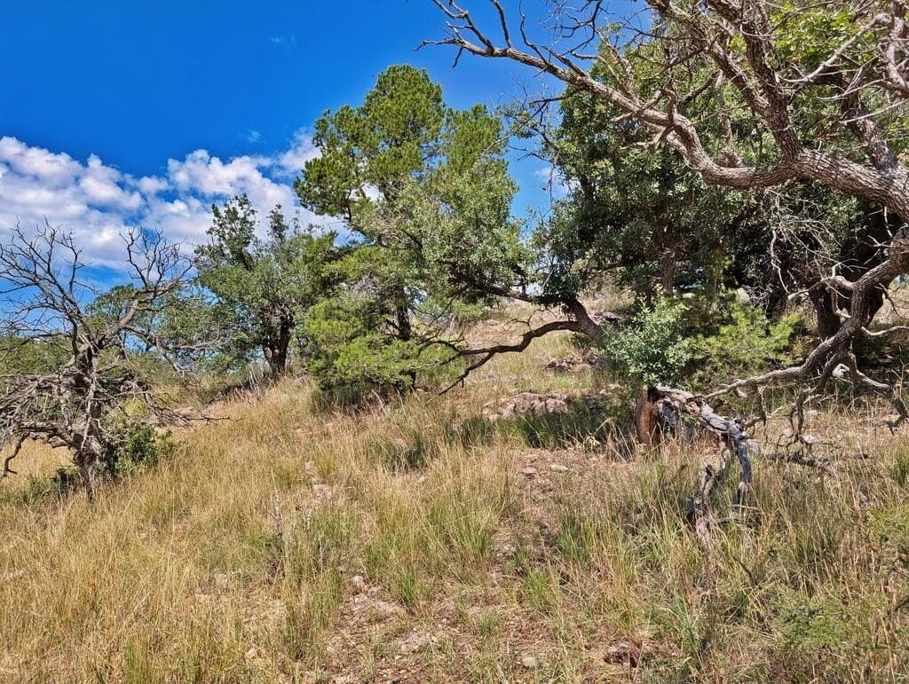 9.93 acres in Jeff Davis County - photo 14