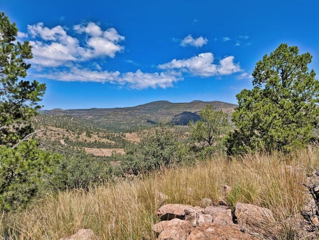 9.93 acres in Jeff Davis County - photo 15