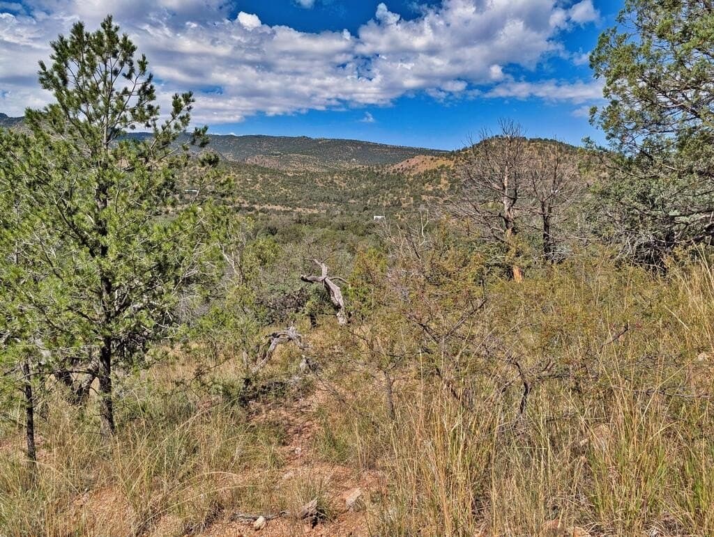 9.93 acres in Jeff Davis County - photo 7