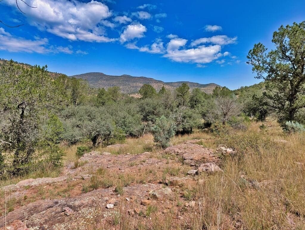 9.93 acres in Jeff Davis County - photo 3