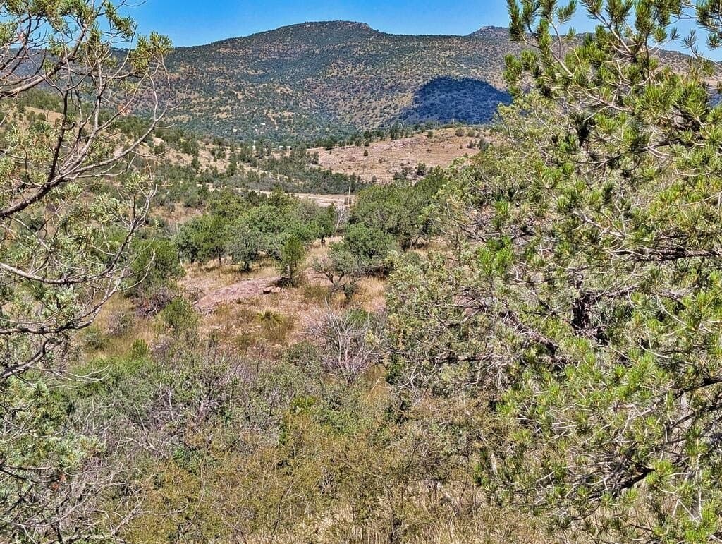 9.93 acres in Jeff Davis County - photo 10