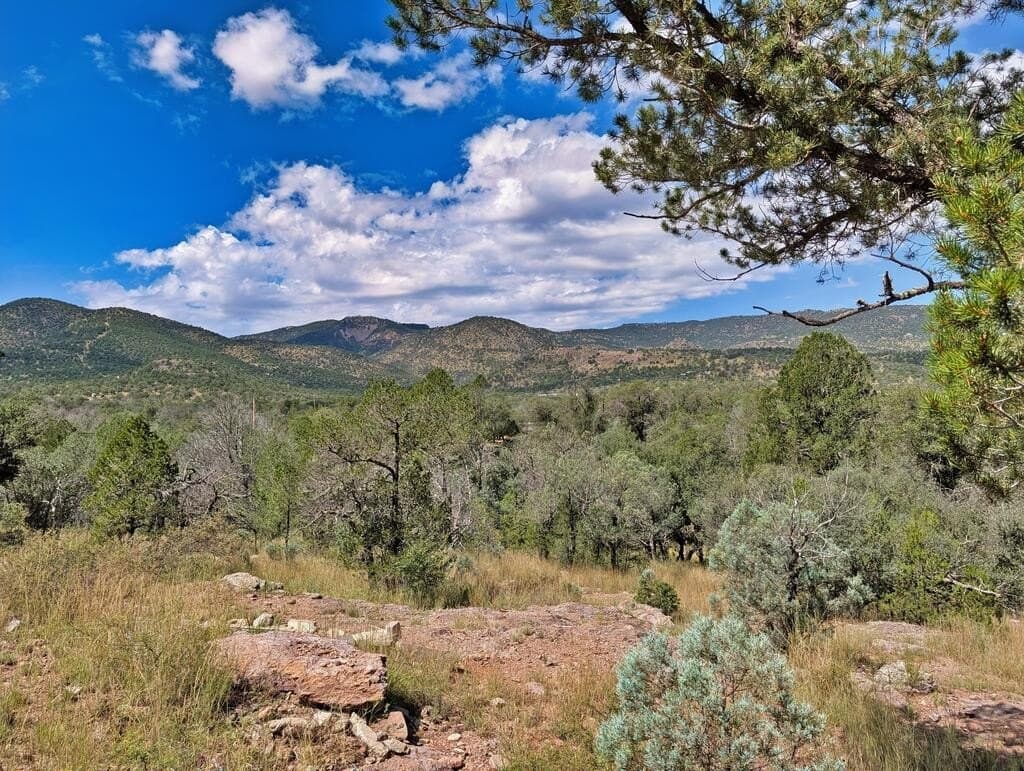 9.93 acres in Jeff Davis County - photo 4