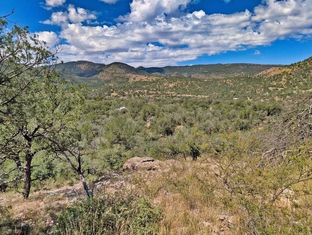 9.93 acres in Jeff Davis County - photo 9