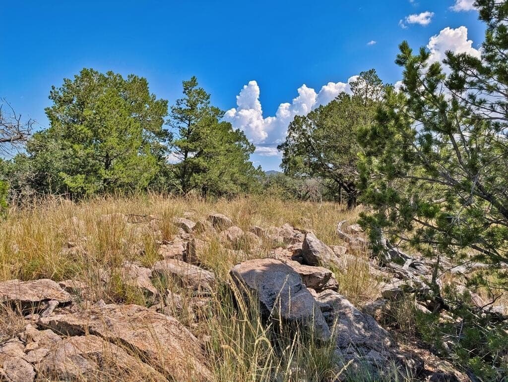 9.93 acres in Jeff Davis County - photo 17