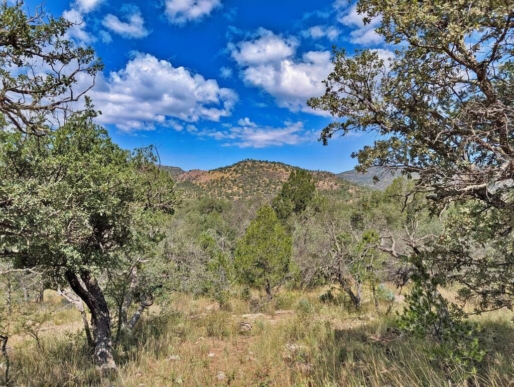 9.93 acres in Jeff Davis County - photo 2
