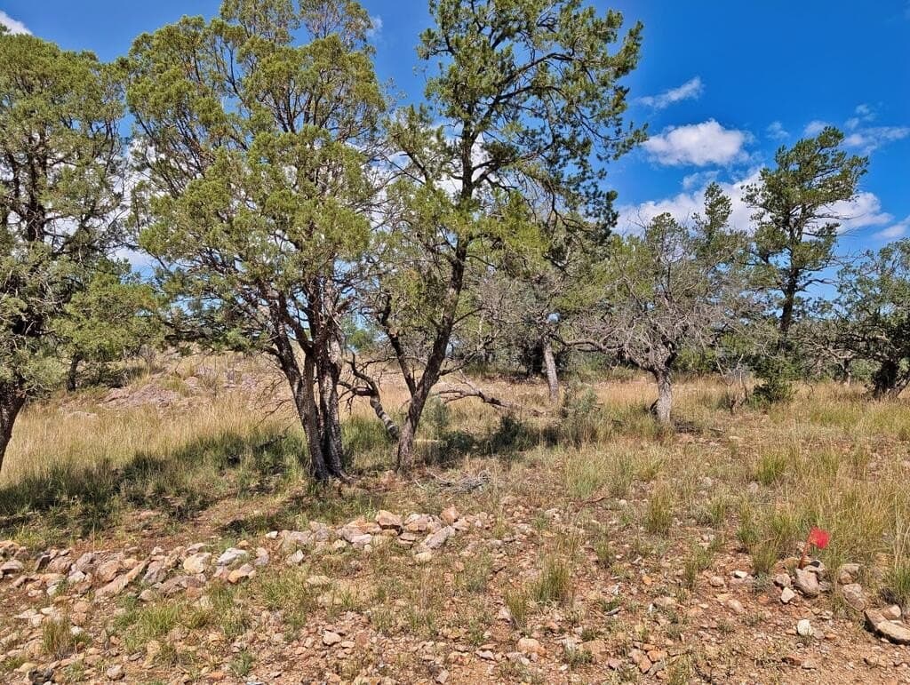 9.93 acres in Jeff Davis County - photo 12