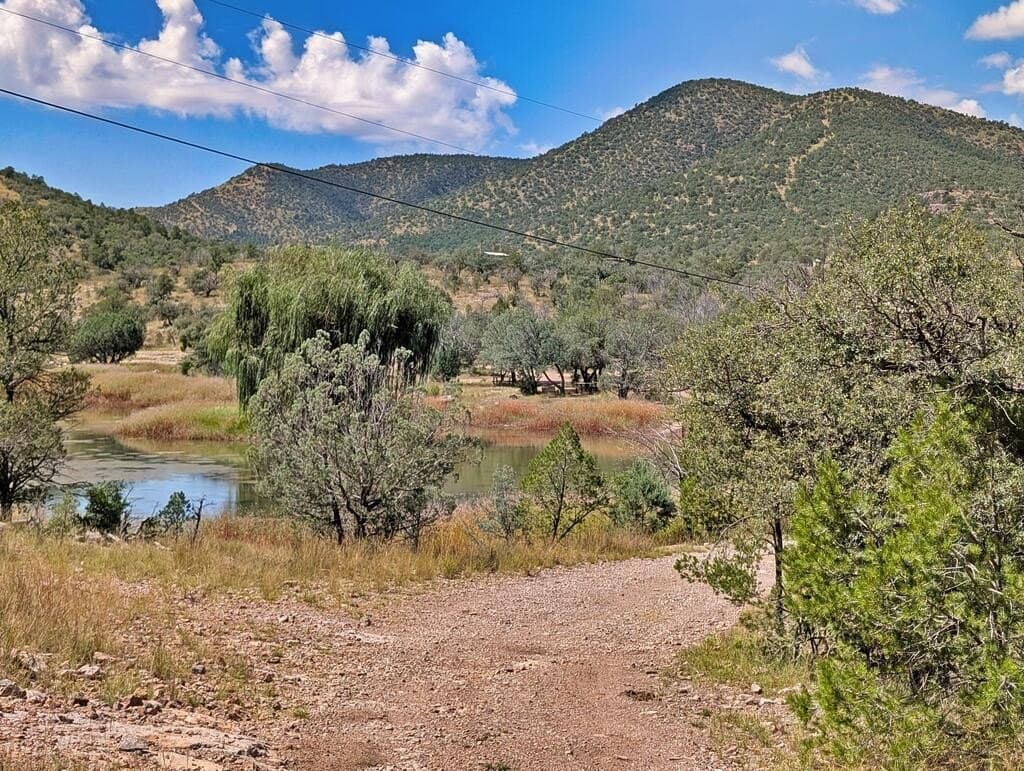 9.93 acres in Jeff Davis County