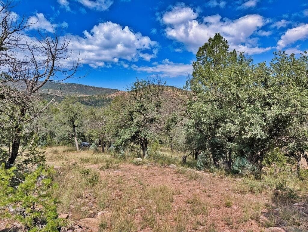 9.93 acres in Jeff Davis County - photo 5