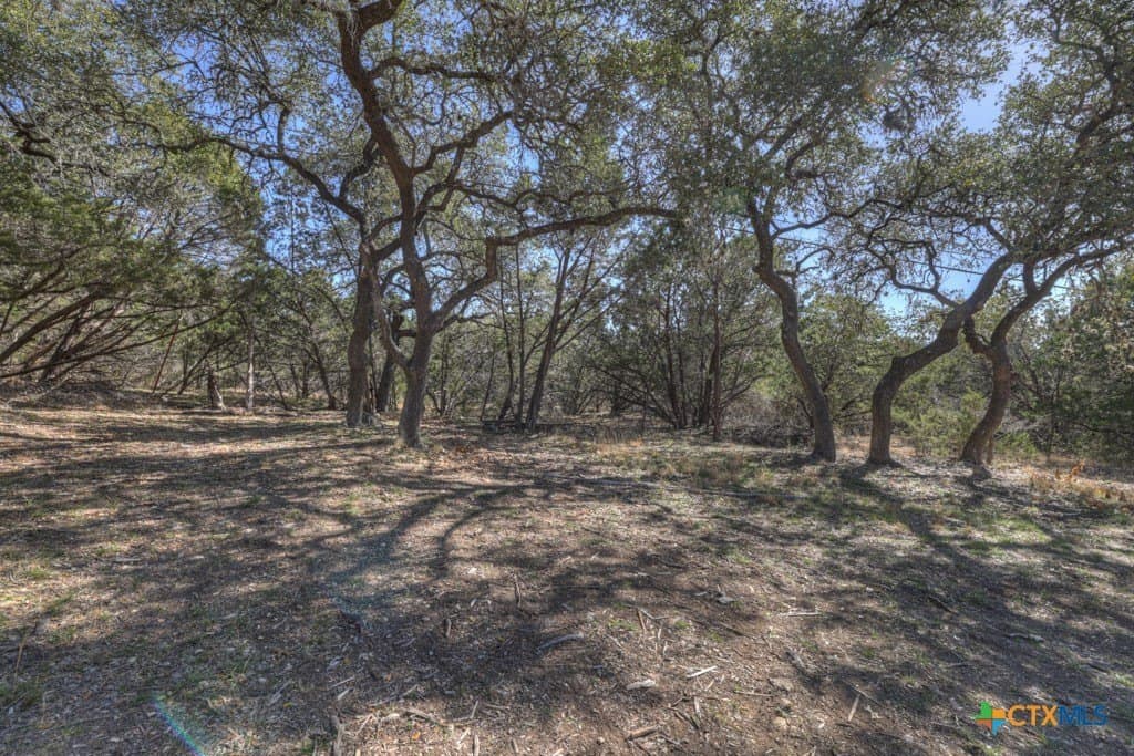 1.26 acres in Comal County - photo 24