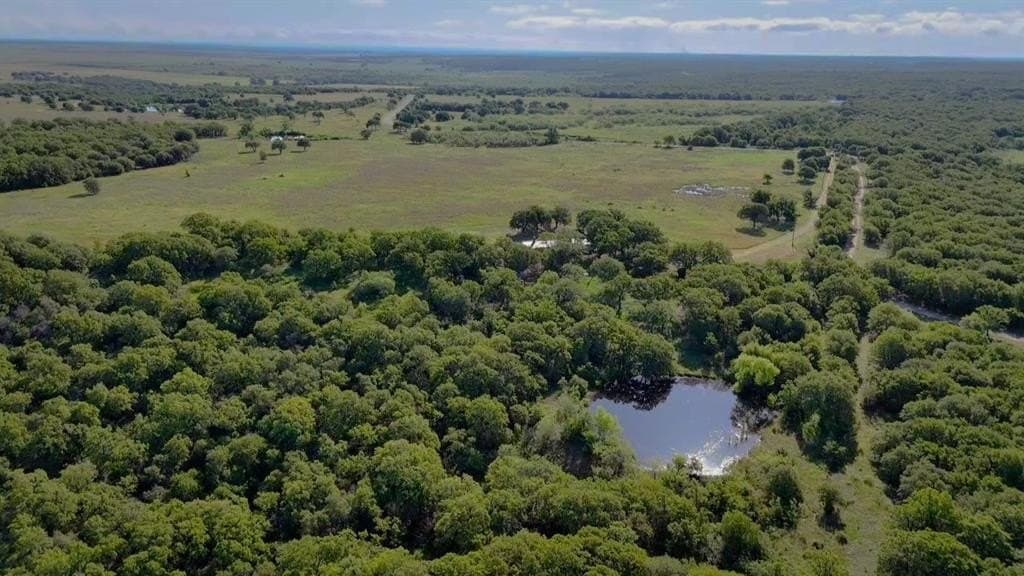 20 acres in Jack County gallery image 2