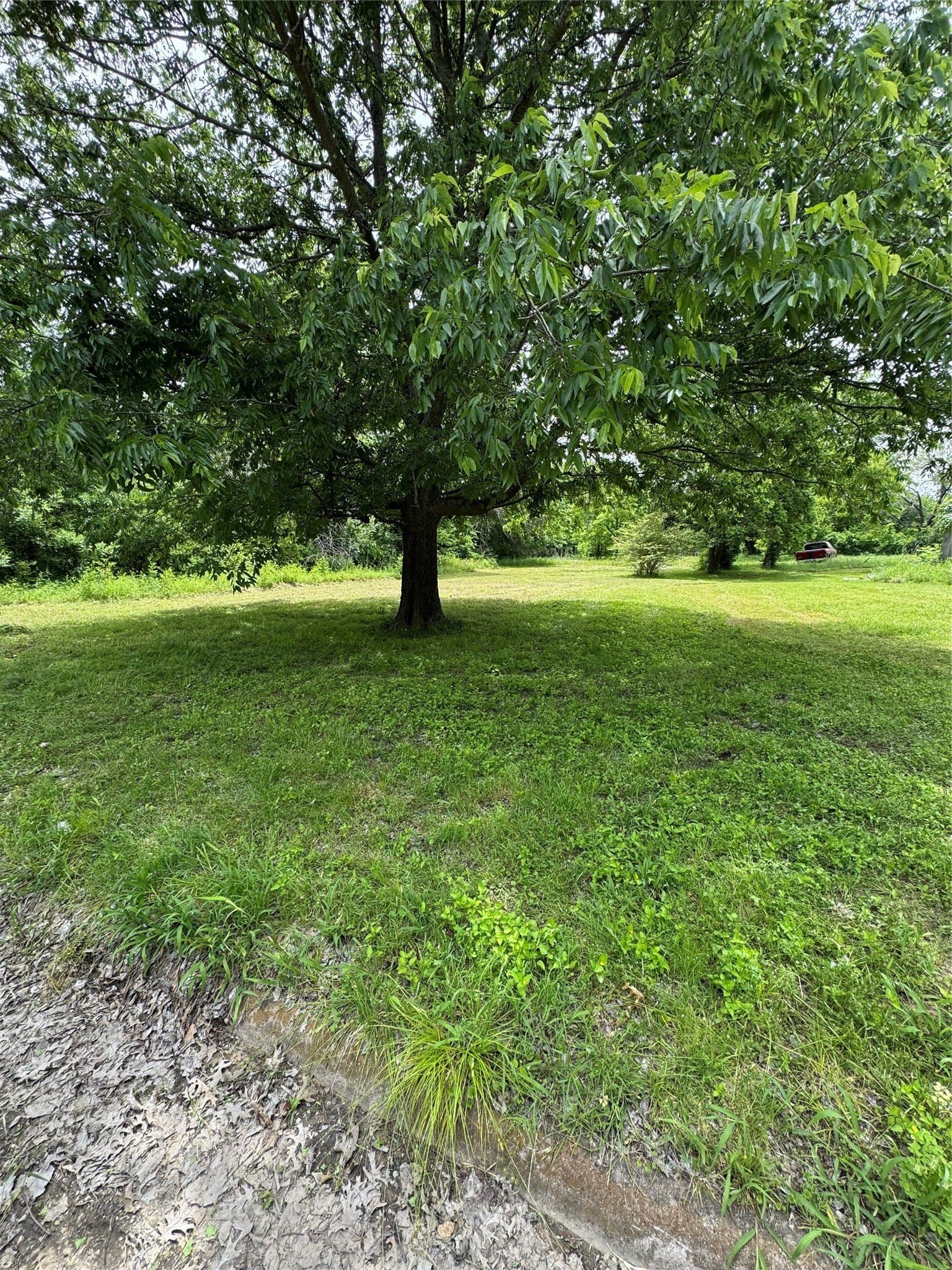 0.21 acres in Cooke County gallery image 2