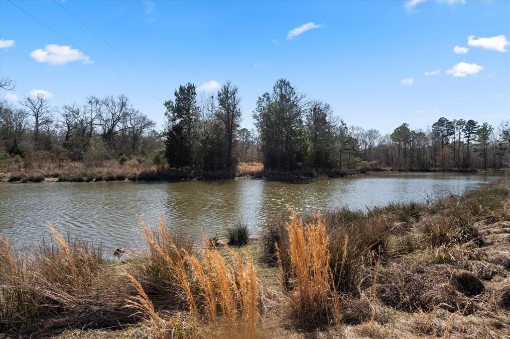 14.13 acres in Titus County gallery image 3