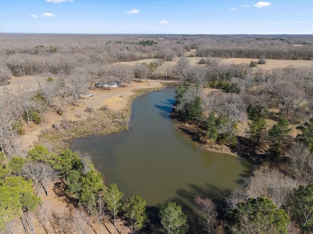 14.13 acres in Titus County gallery image 4