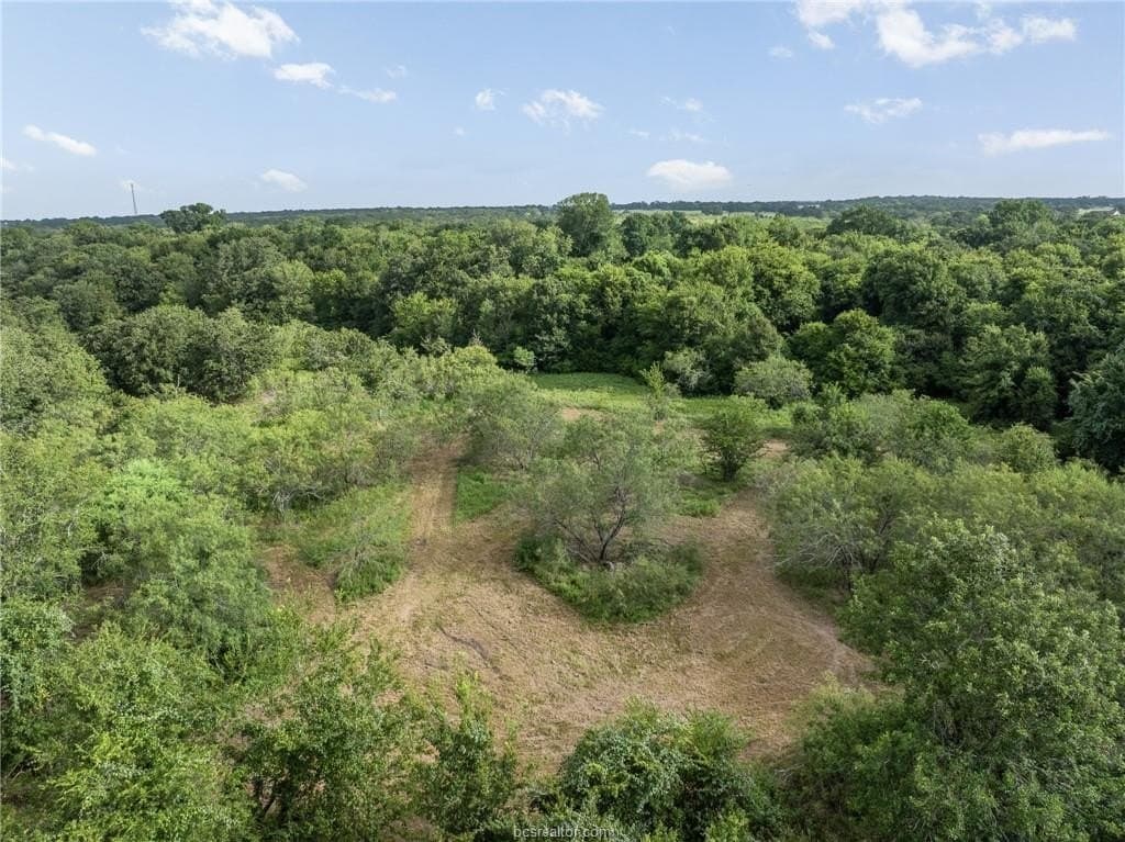 10 acres in Grimes County - photo 11