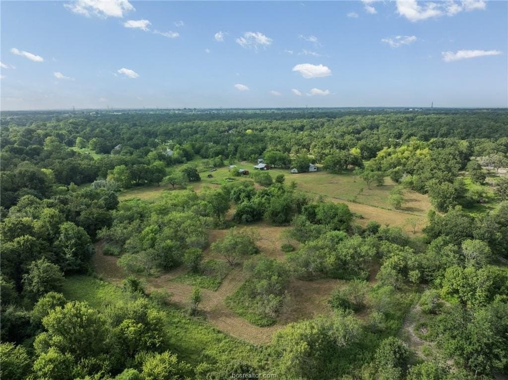 10 acres in Grimes County - photo 9