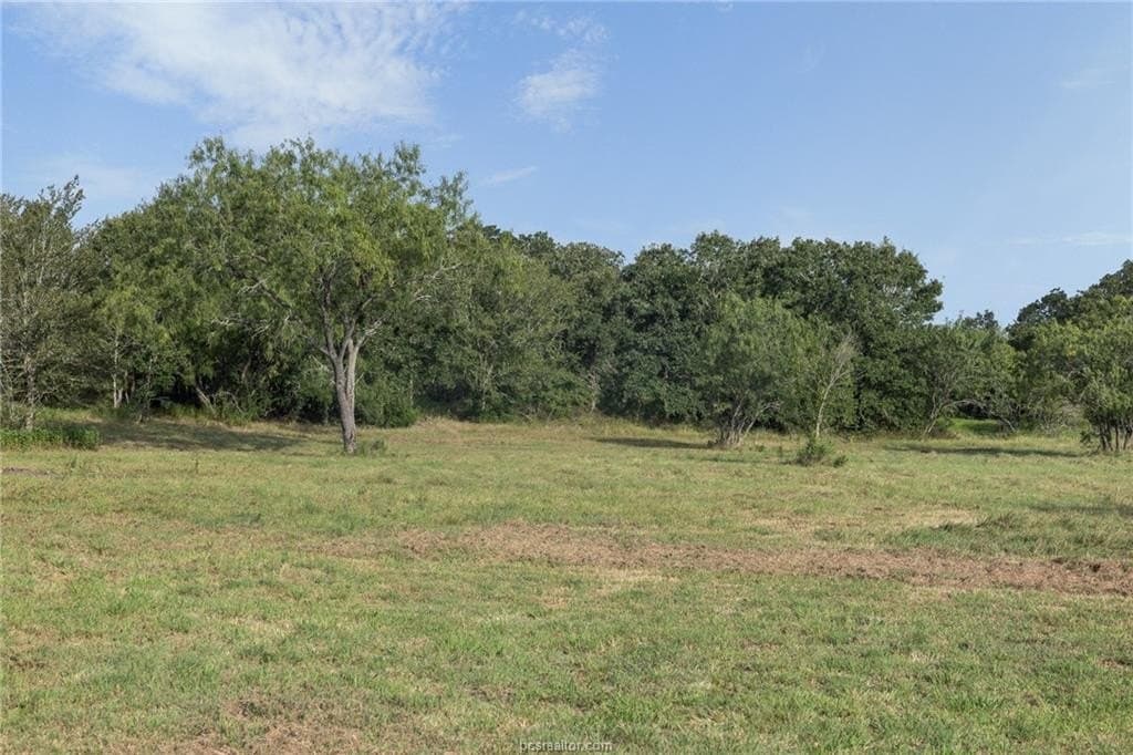 10 acres in Grimes County - photo 8