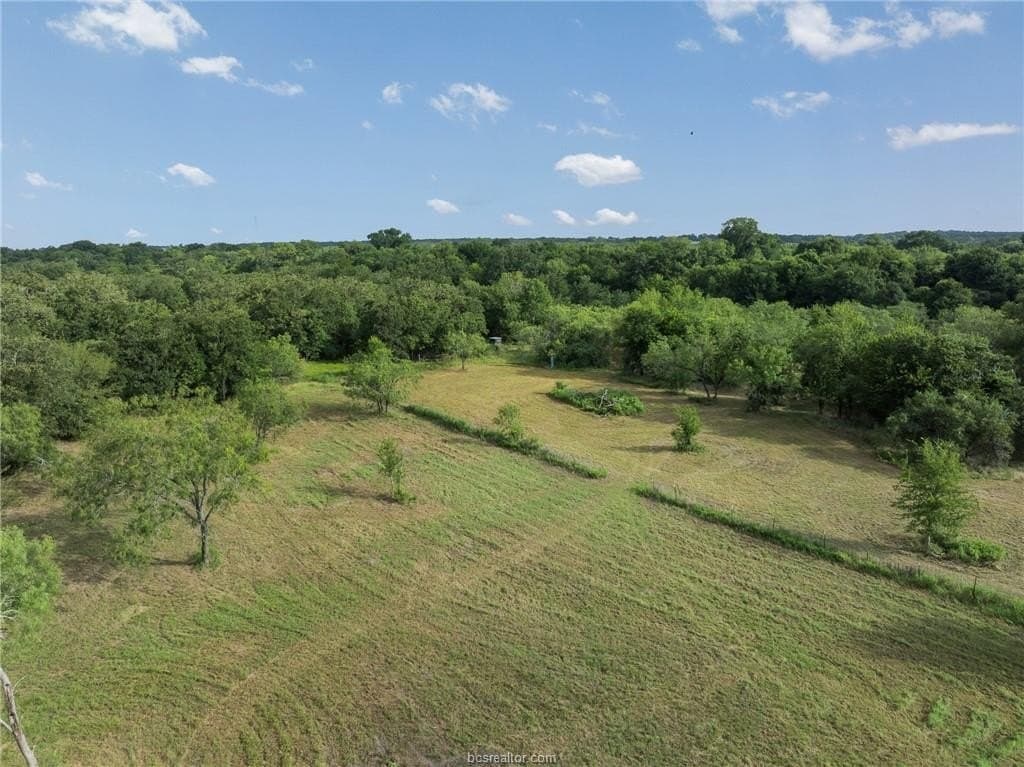10 acres in Grimes County - photo 10