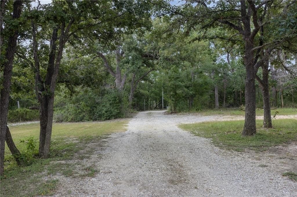 10 acres in Grimes County - photo 5