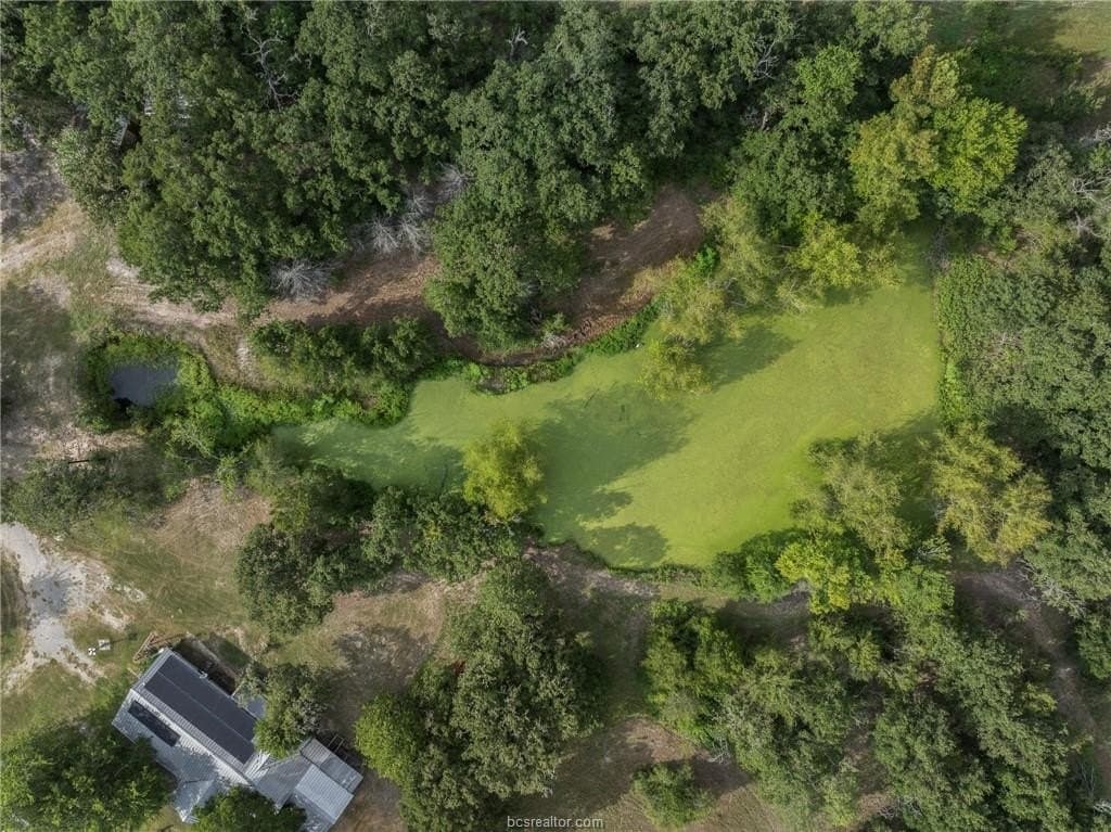 10 acres in Grimes County - photo 13