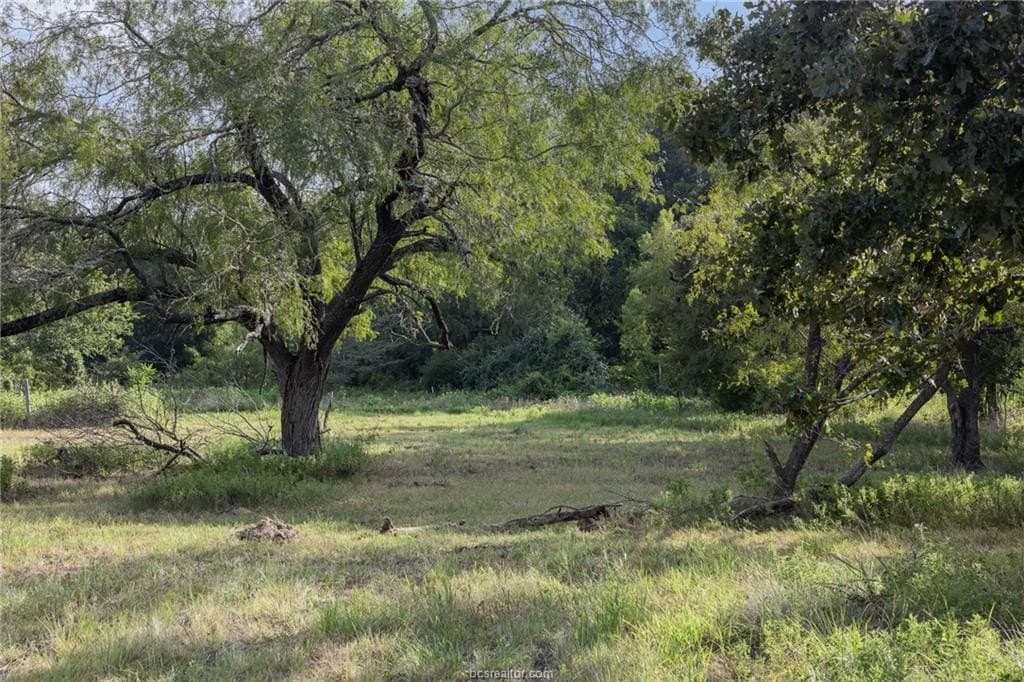 10 acres in Grimes County - photo 12