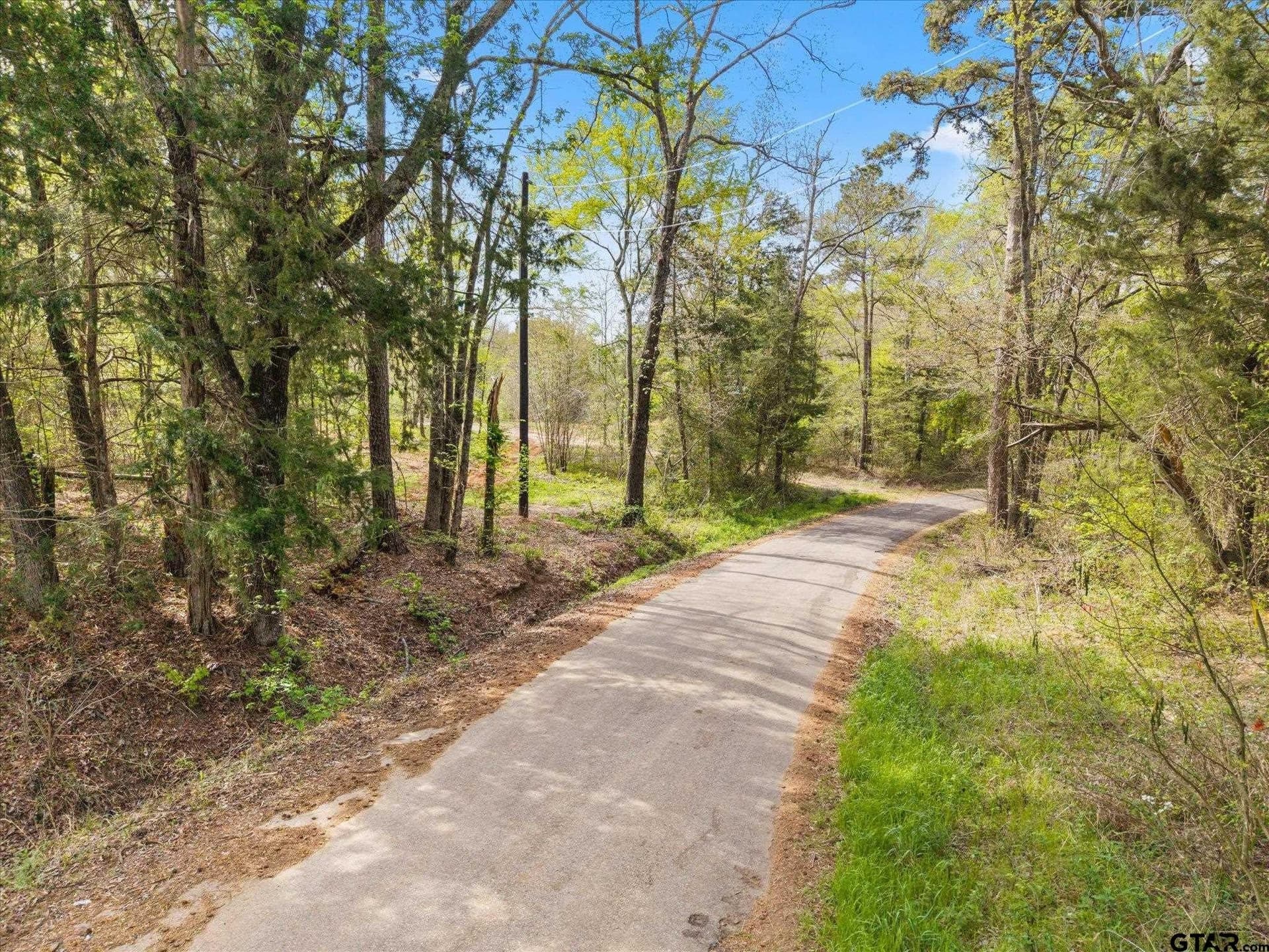 6.5 acres in Upshur County gallery image 3