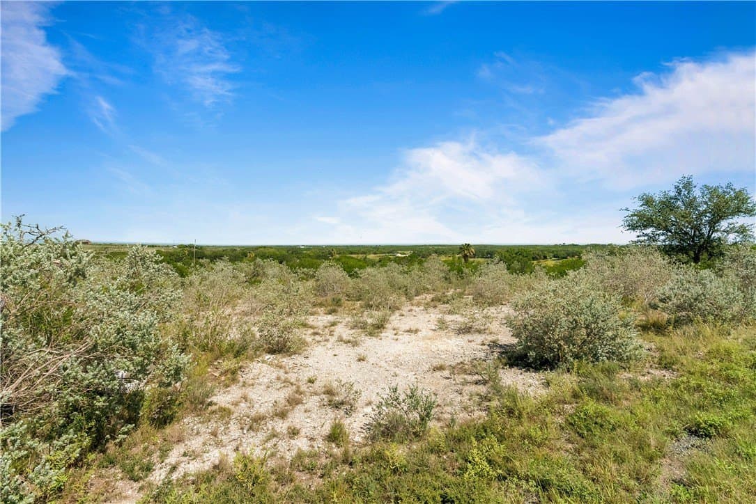 87,120 acres in Live Oak County - photo 7