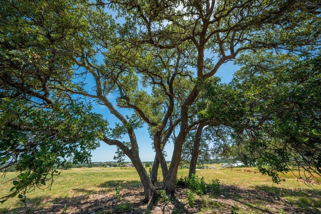 5.01 acres in Kerr County - photo 11