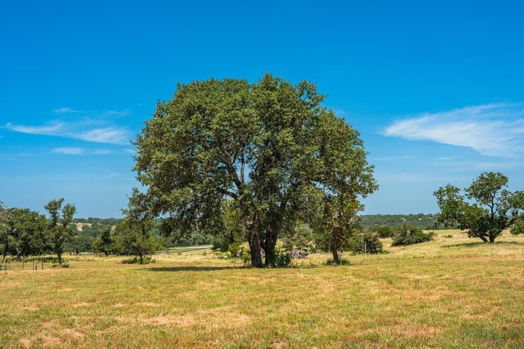 5.01 acres in Kerr County - photo 12