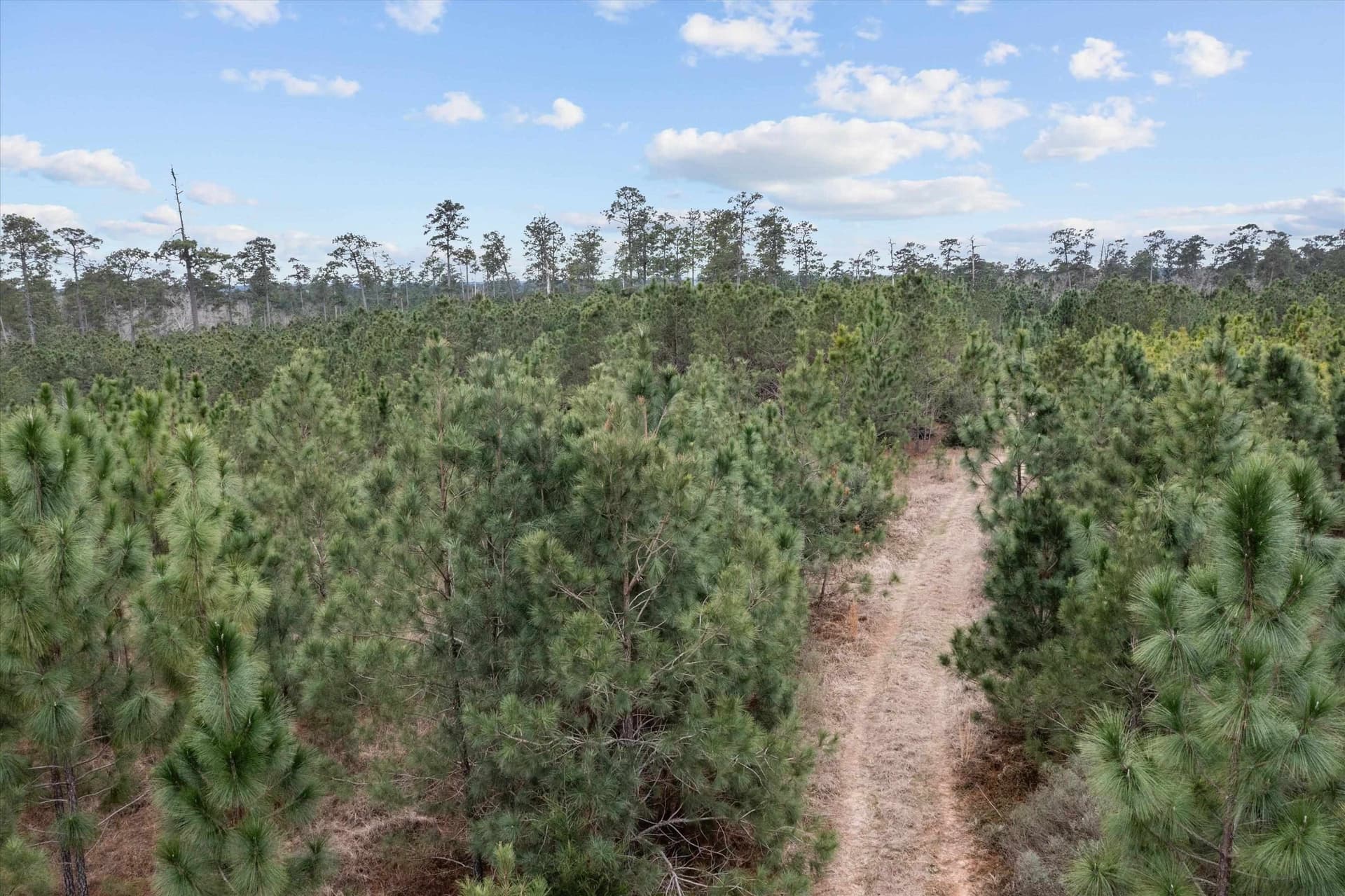210 acres in Texas County - photo 17