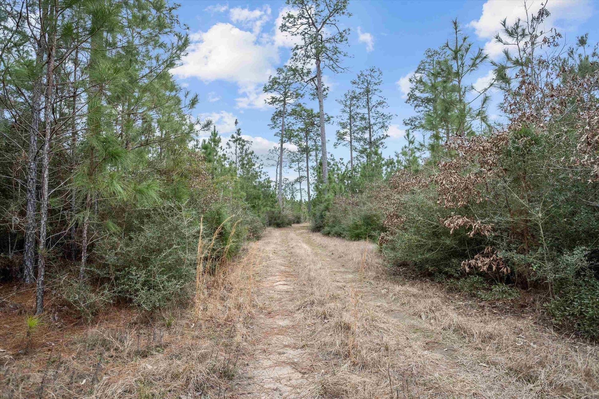210 acres in Texas County - photo 2