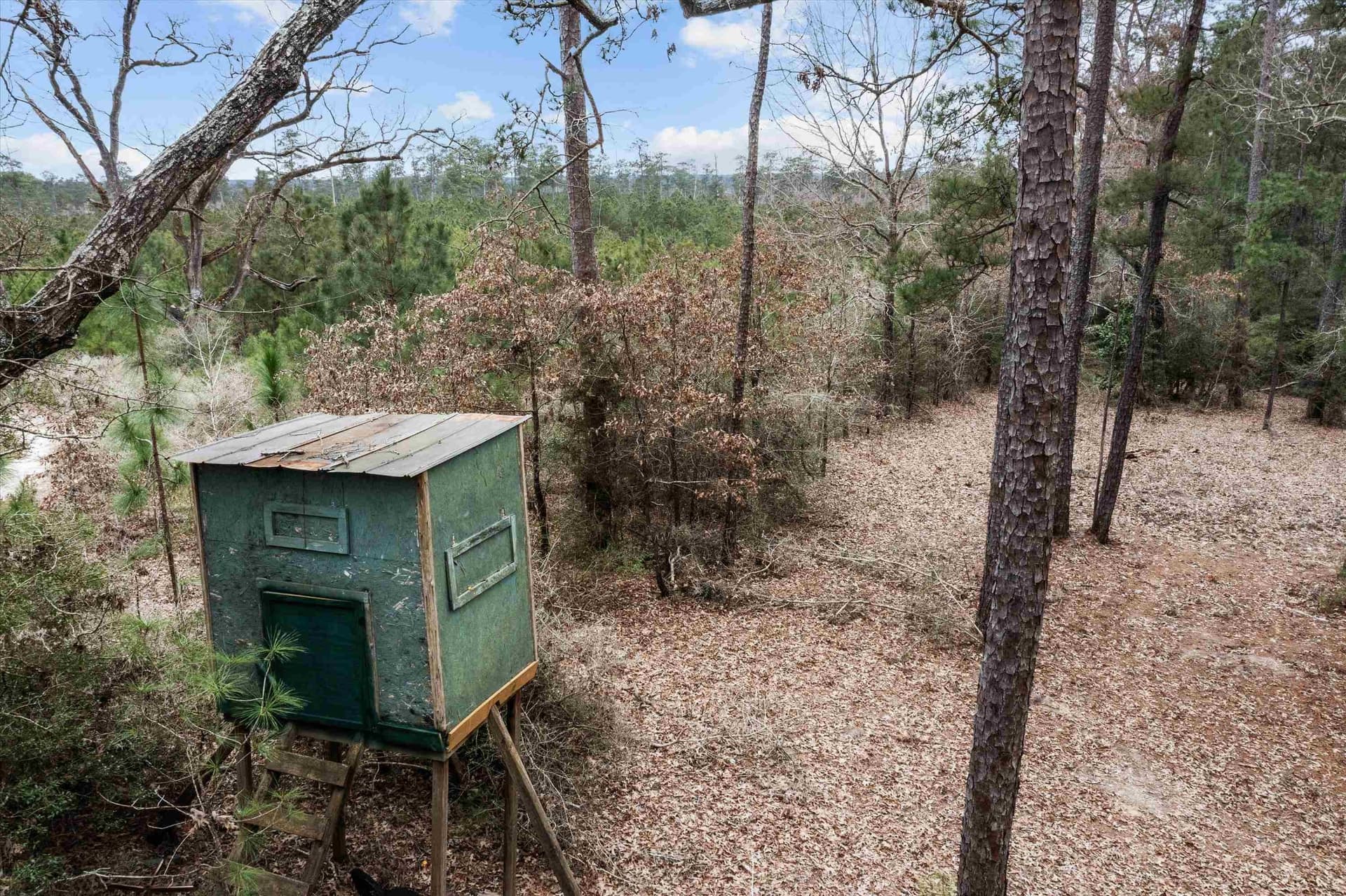 210 acres in Texas County - photo 14
