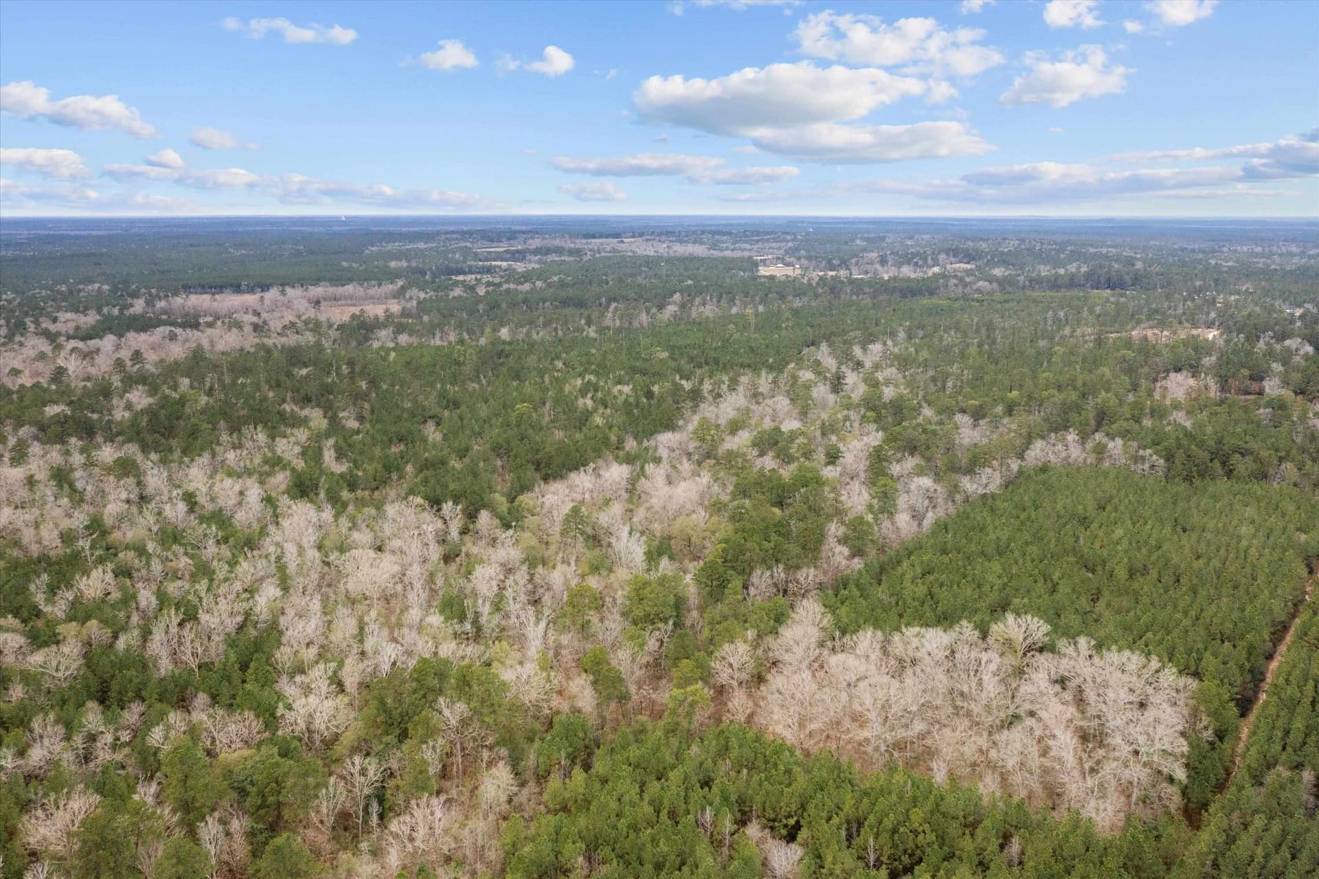 210 acres in Texas County - photo 21