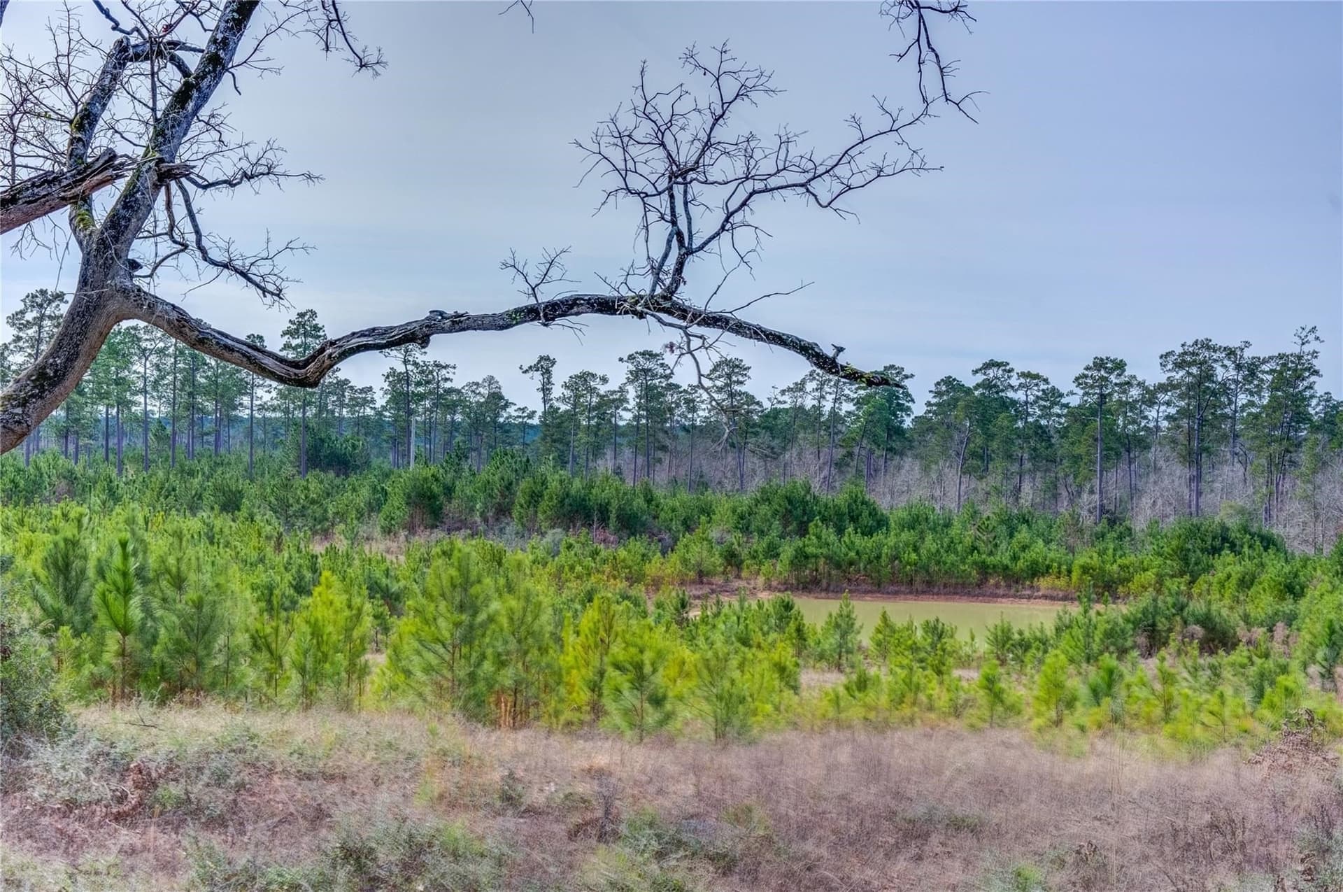 210 acres in Texas County - photo 29