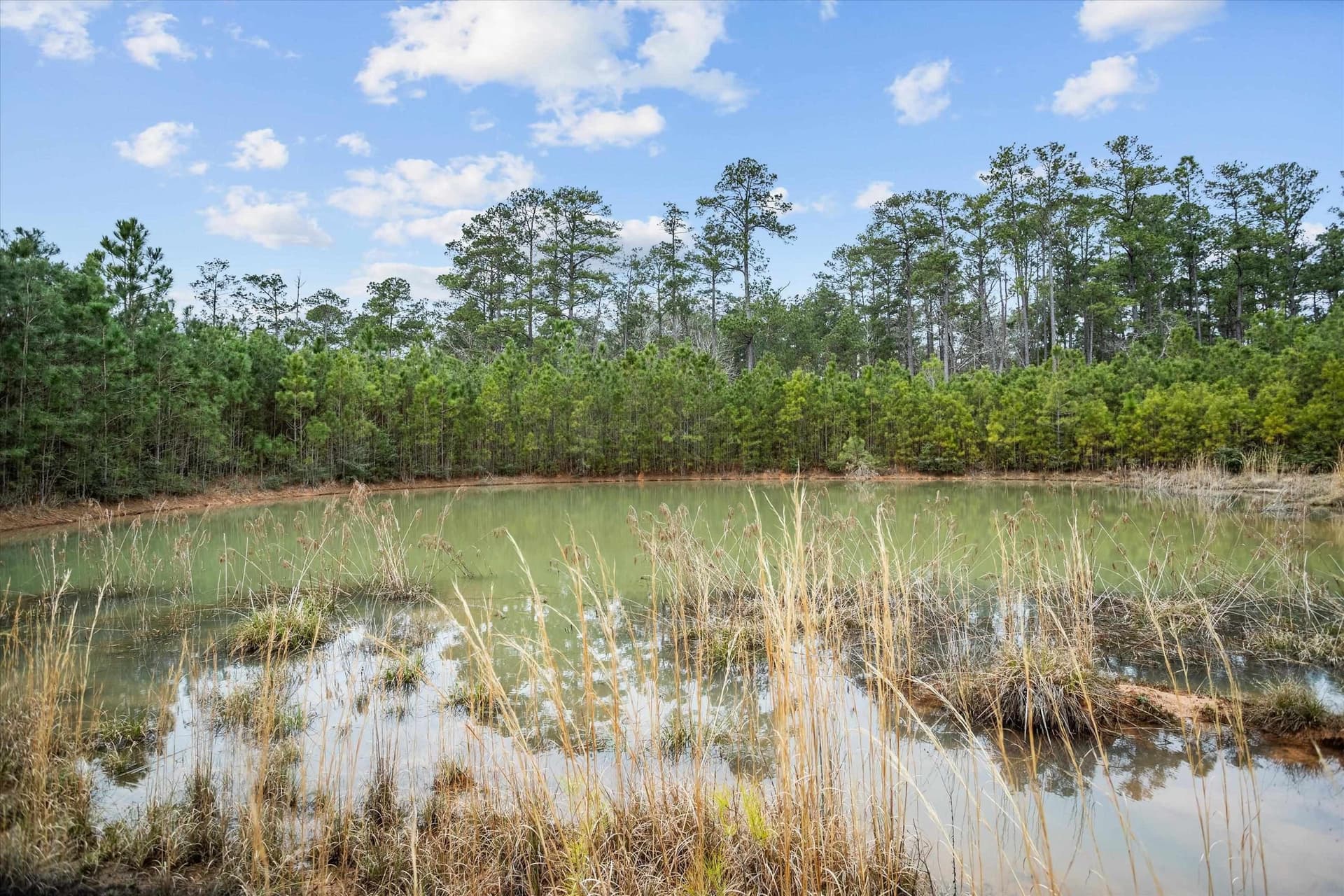 210 acres in Texas County - photo 5