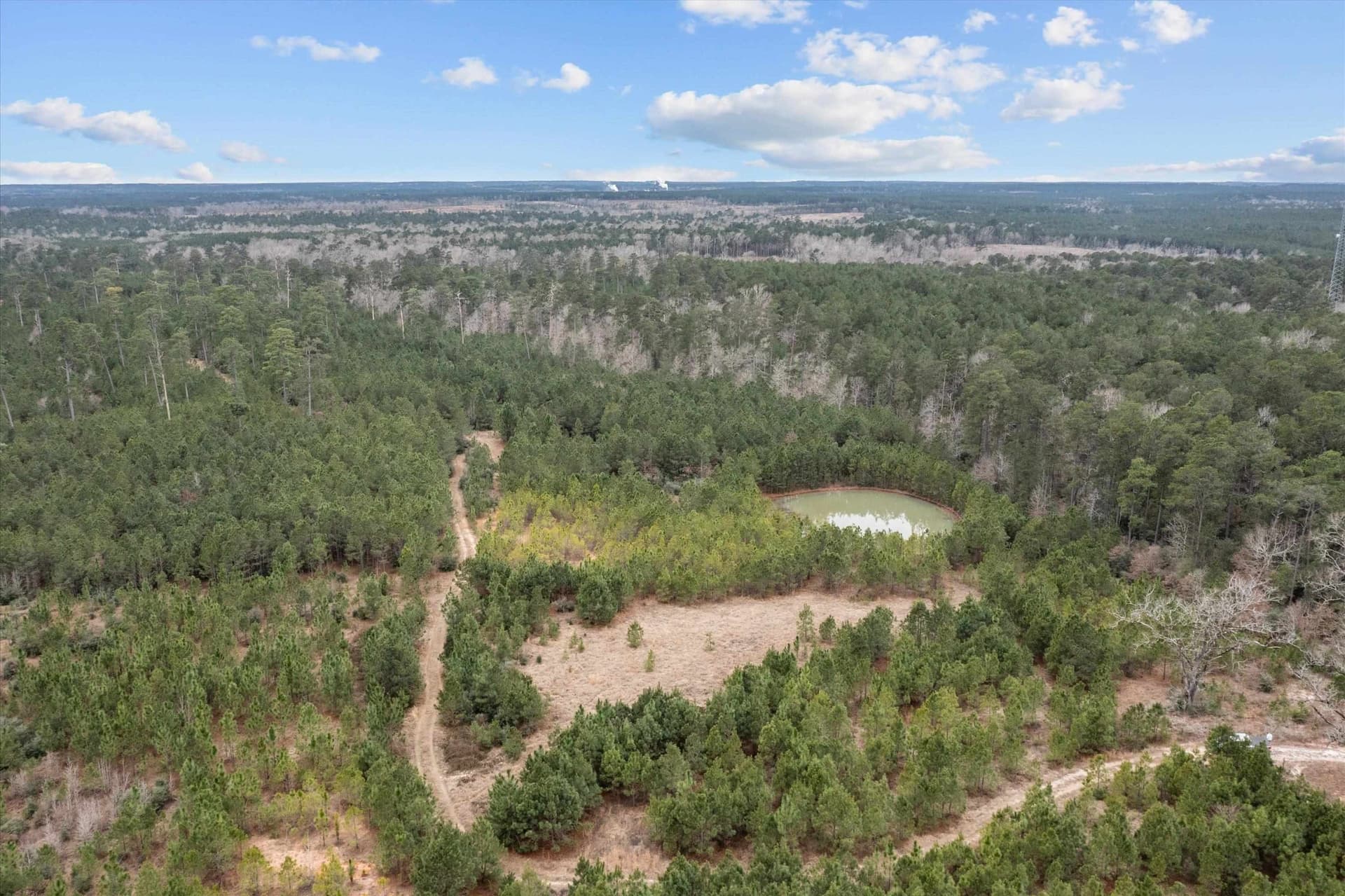 210 acres in Texas County - photo 8