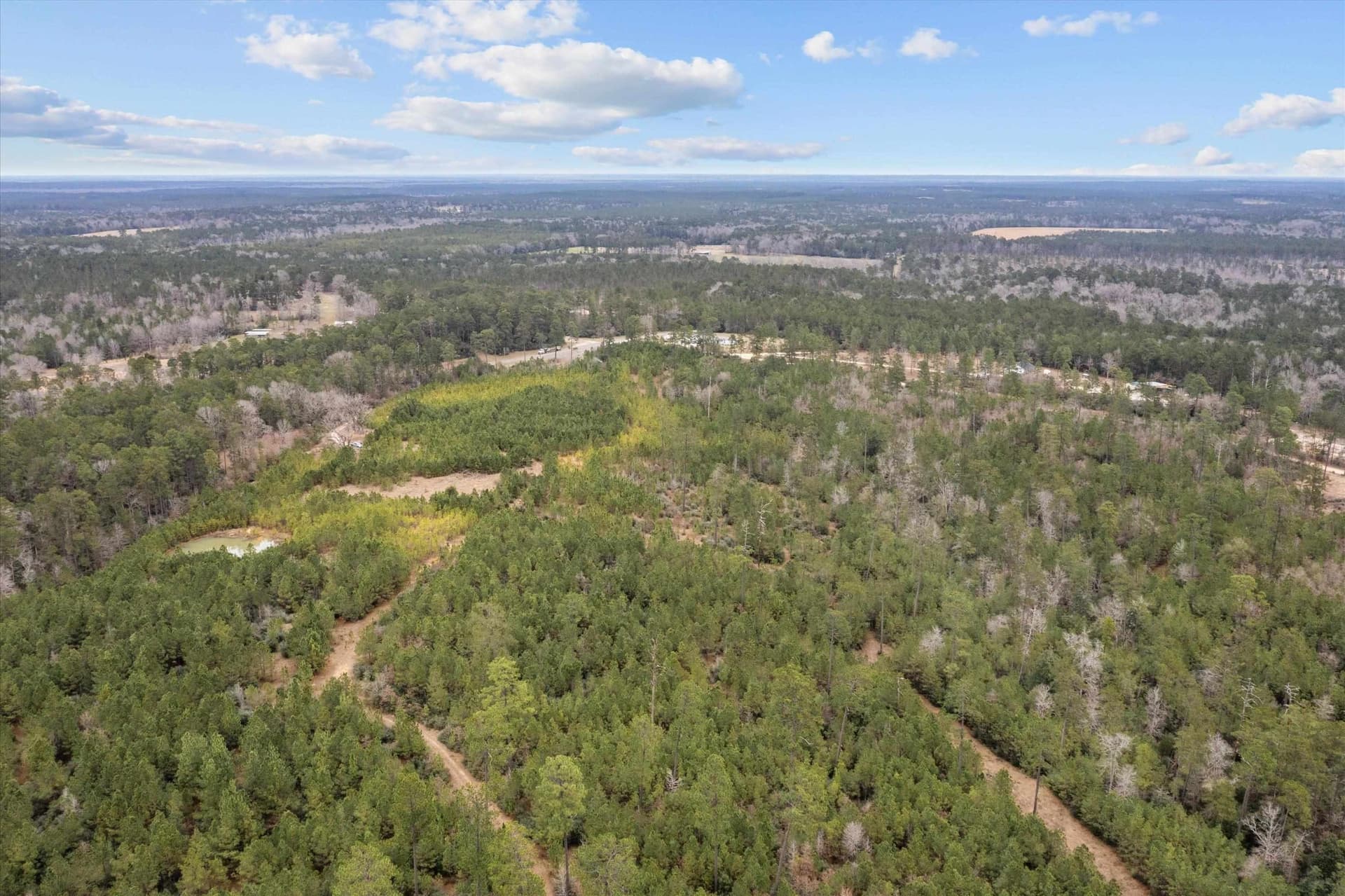 210 acres in Texas County - photo 11