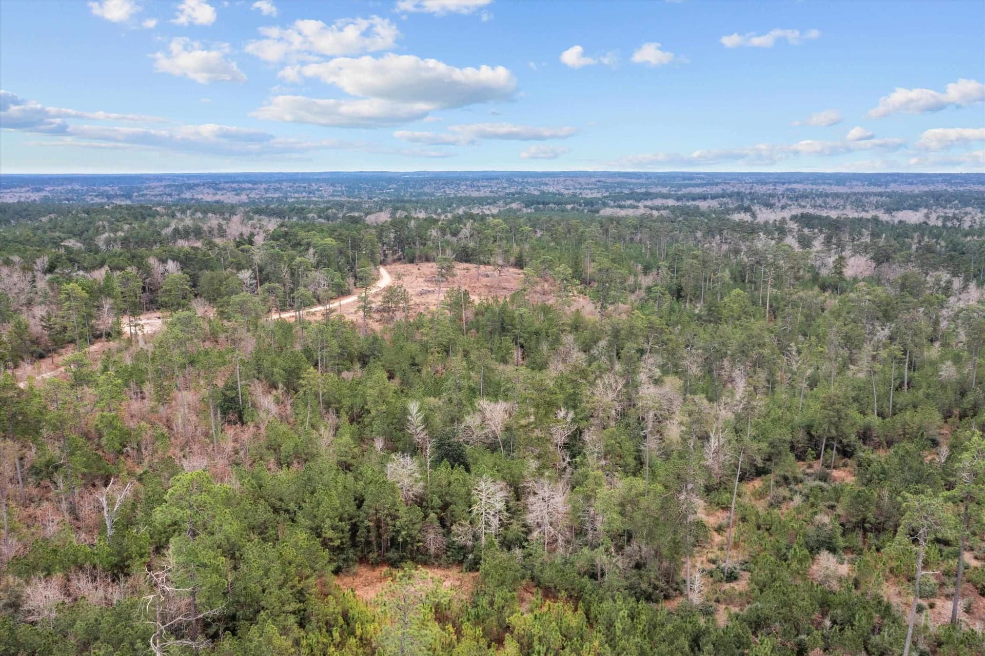 210 acres in Texas County - photo 9