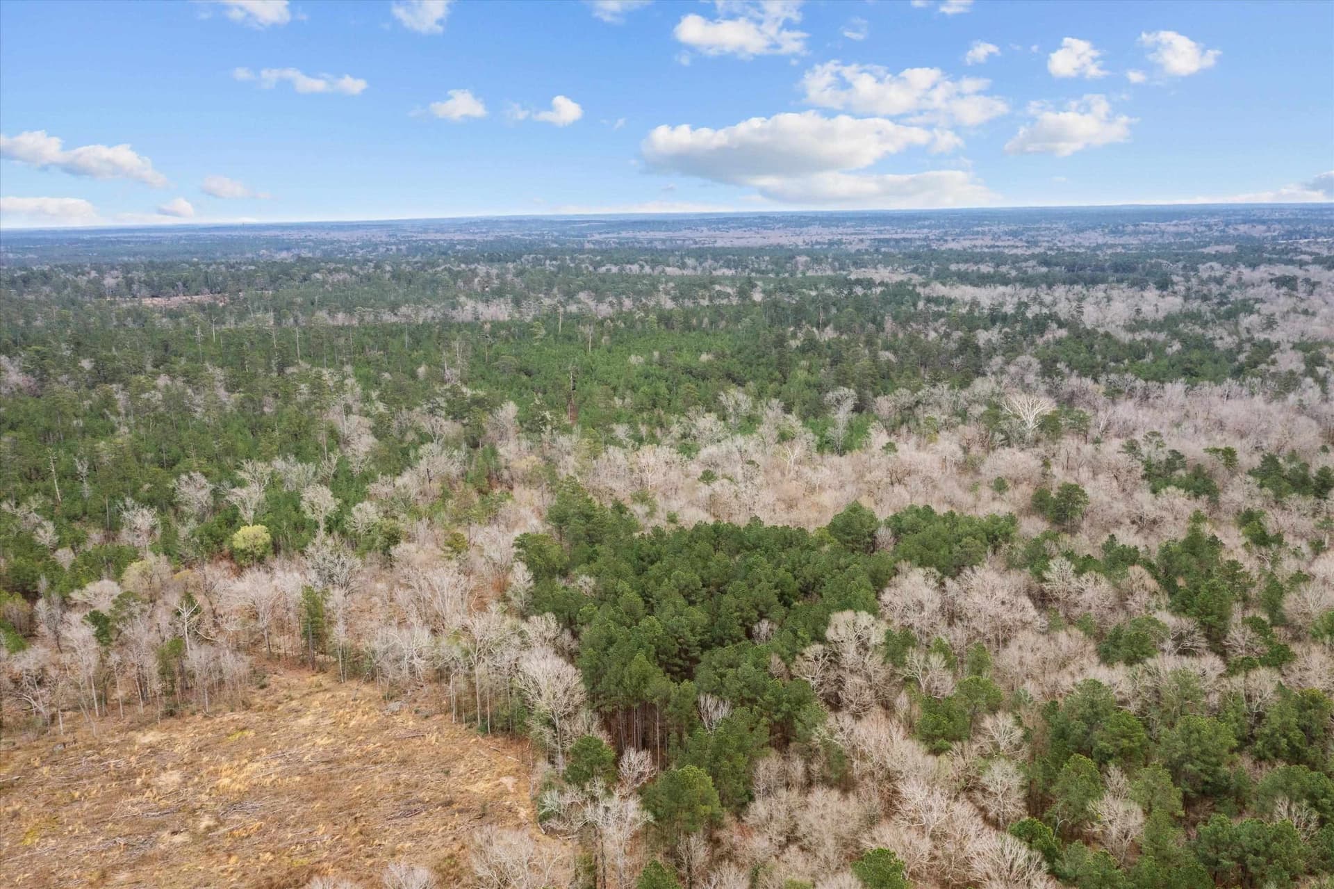 210 acres in Texas County - photo 19